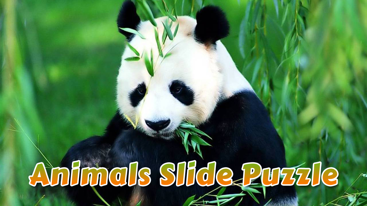 Image Animals Slide Puzzle