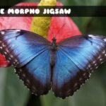 Blue Morpho Butterfly Jigsaw