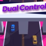 Dual Control 3D