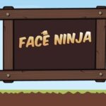 Face Ninja