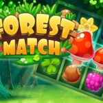 Forest Match