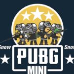 PUBG Mini Snow Multiplayer