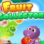 Fruit Collector